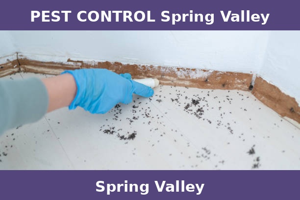 PEST CONTROL Spring Valley